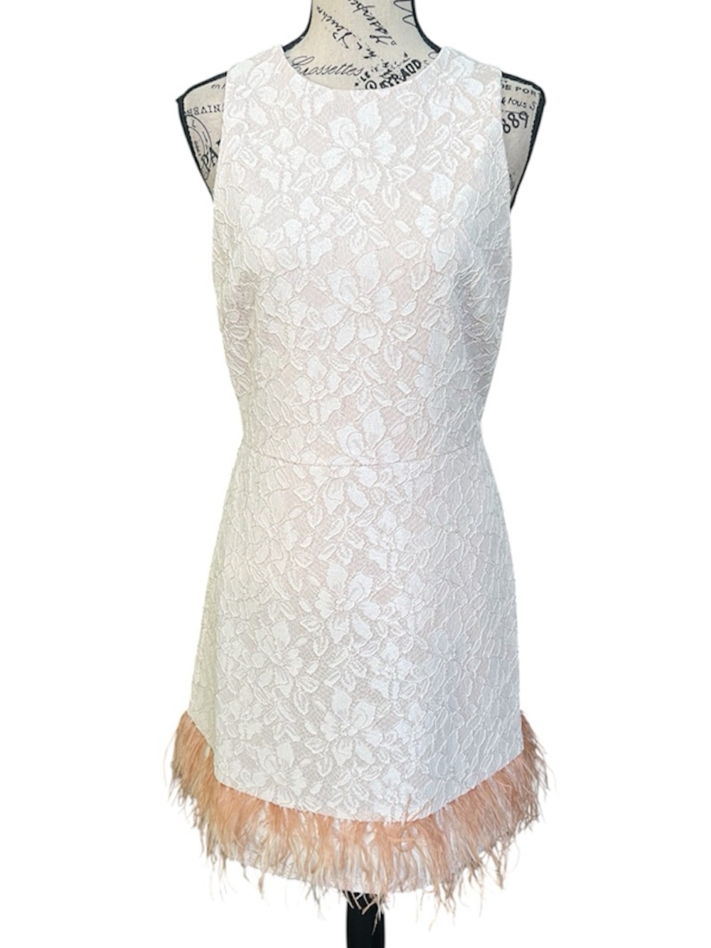 Taylor Lace Dress with Feather Trim